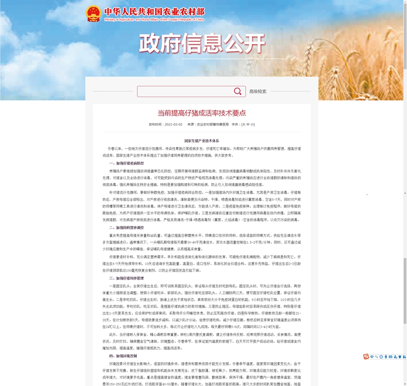 當(dāng)前提高仔豬成活率技術(shù)要點(diǎn)