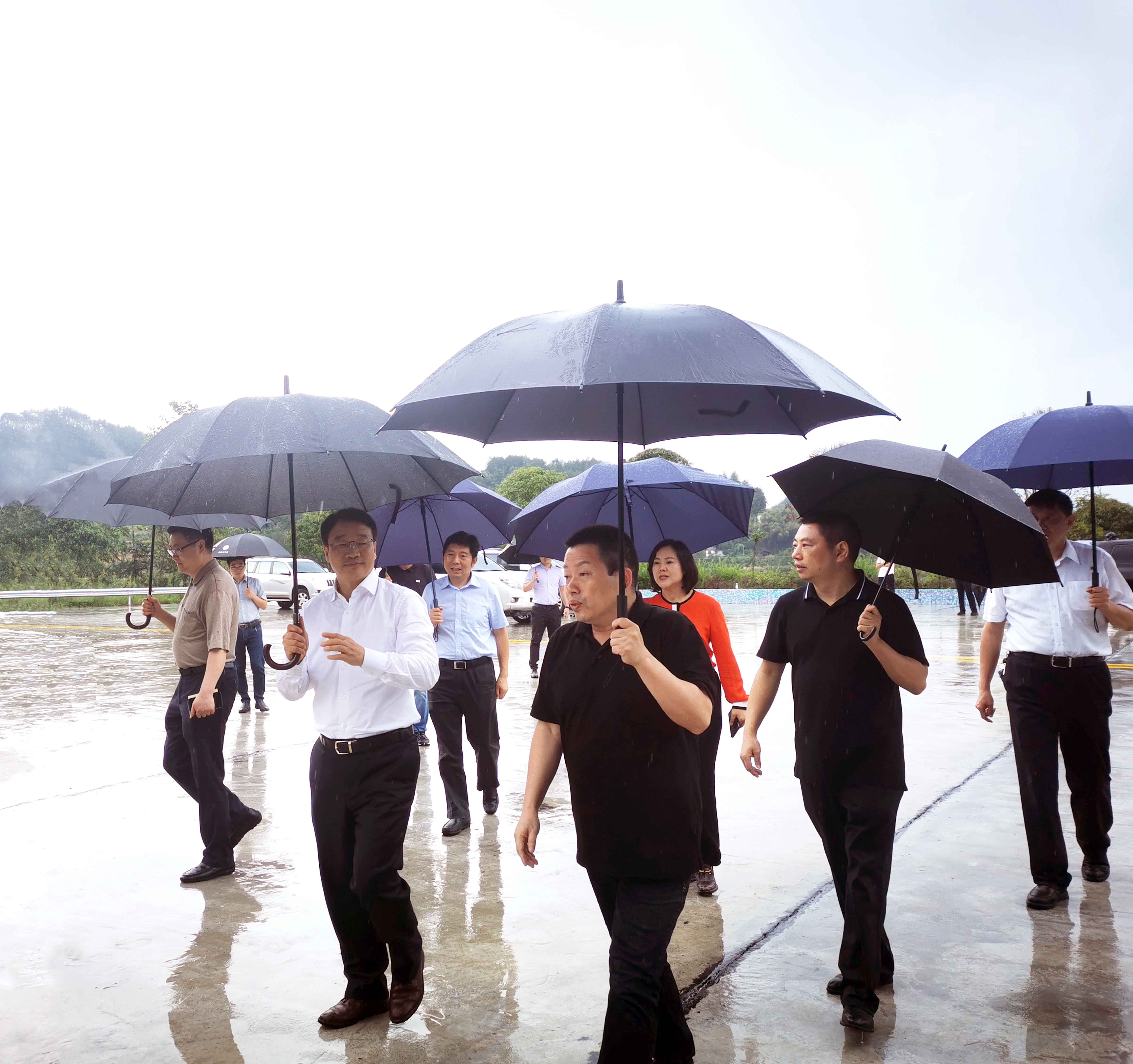 市領(lǐng)導(dǎo)李明清視察重慶69