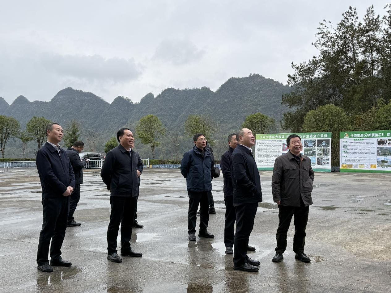 區(qū)長(zhǎng)駱高燕到69公司調(diào)研